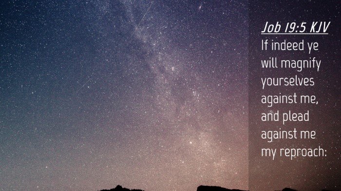 Picture 04 - Job 19:5 KJV Desktop Wallpaper - If indeed ye will magnify yourselves against me, - Desktop Bible Verse Wallpaper