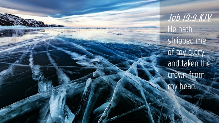 Picture 04 - Job 19:9 KJV Desktop Wallpaper - He hath stripped me of my glory, and taken the - Desktop Bible Verse Wallpaper
