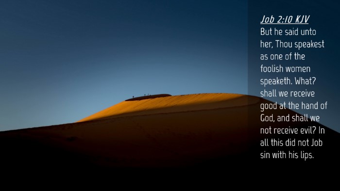 Picture 04 - Job 2:10 KJV Desktop Wallpaper - But he said unto her, Thou speakest as one of the - Desktop Bible Verse Wallpaper