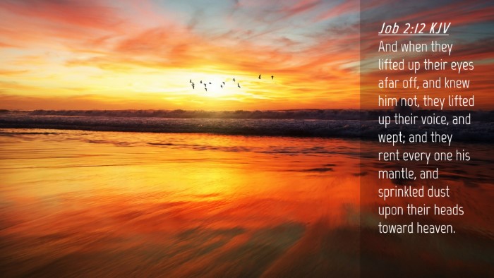 Picture 04 - Job 2:12 KJV Desktop Wallpaper - And when they lifted up their eyes afar off, and - Desktop Bible Verse Wallpaper