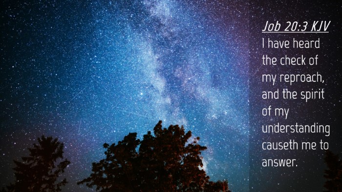 Picture 04 - Job 20:3 KJV Desktop Wallpaper - I have heard the check of my reproach, and the - Desktop Bible Verse Wallpaper