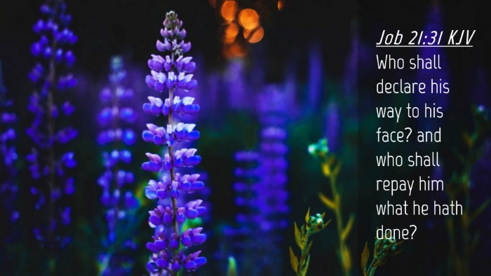 Picture 04 - Job 21:31 KJV Desktop Wallpaper - Who shall declare his way to his face? and who - Desktop Bible Verse Wallpaper
