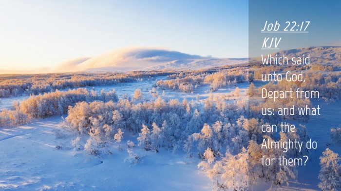 Picture 04 - Job 22:17 KJV Desktop Wallpaper - Which said unto God, Depart from us: and what can - Desktop Bible Verse Wallpaper