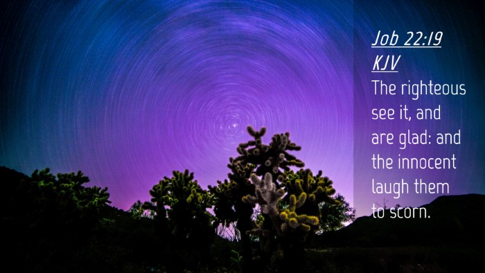 Picture 04 - Job 22:19 KJV Desktop Wallpaper - The righteous see it, and are glad: and the - Desktop Bible Verse Wallpaper