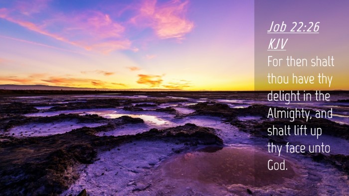 Picture 04 - Job 22:26 KJV Desktop Wallpaper - For then shalt thou have thy delight in the - Desktop Bible Verse Wallpaper