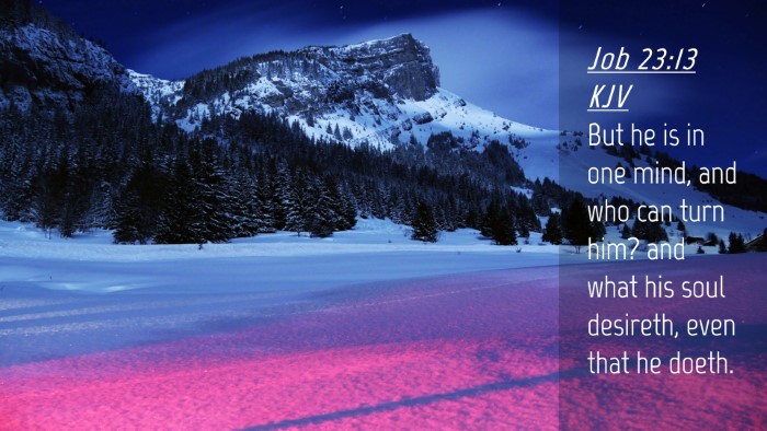 Picture 04 - Job 23:13 KJV Desktop Wallpaper - But he is in one mind, and who can turn him? and - Desktop Bible Verse Wallpaper