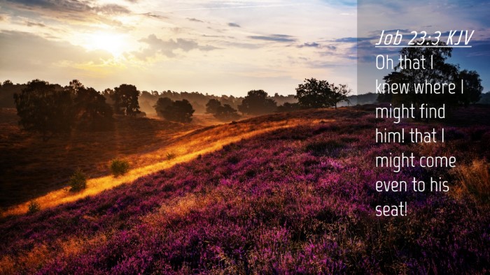 Picture 04 - Job 23:3 KJV Desktop Wallpaper - Oh that I knew where I might find him! that I - Desktop Bible Verse Wallpaper
