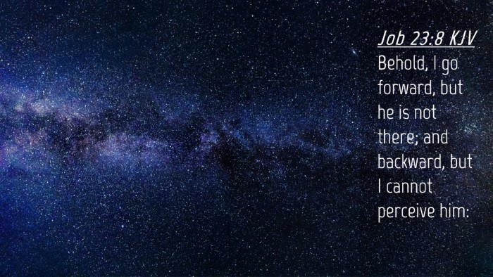 Picture 04 - Job 23:8 KJV Desktop Wallpaper - Behold, I go forward, but he is not there; and - Desktop Bible Verse Wallpaper