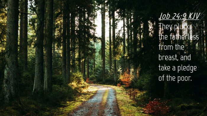 Picture 04 - Job 24:9 KJV Desktop Wallpaper - They pluck the fatherless from the breast, and - Desktop Bible Verse Wallpaper