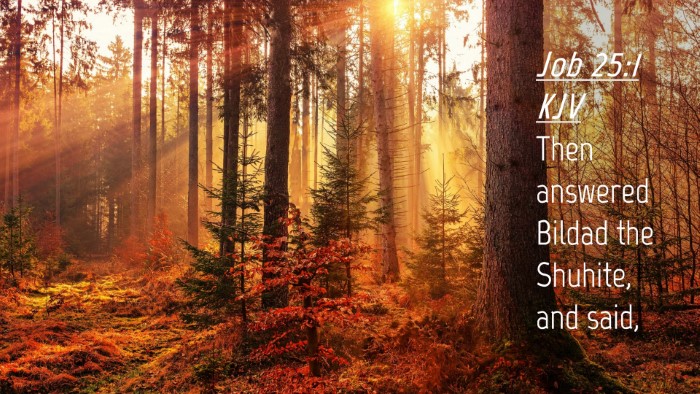 Picture 04 - Job 25:1 KJV Desktop Wallpaper - Then answered Bildad the Shuhite, and - Desktop Bible Verse Wallpaper