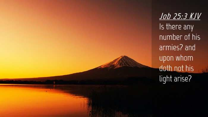 Picture 04 - Job 25:3 KJV Desktop Wallpaper - Is there any number of his armies? and upon whom - Desktop Bible Verse Wallpaper
