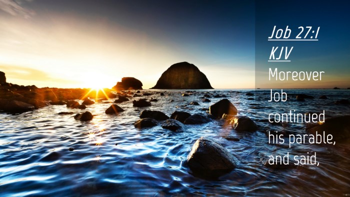 Picture 04 - Job 27:1 KJV Desktop Wallpaper - Moreover Job continued his parable, and - Desktop Bible Verse Wallpaper