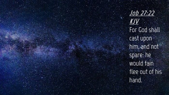 Picture 04 - Job 27:22 KJV Desktop Wallpaper - For God shall cast upon him, and not spare: he - Desktop Bible Verse Wallpaper