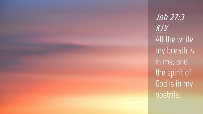 Picture 04 - Job 27:3 KJV Desktop Wallpaper - All the while my breath is in me, and the spirit - Desktop Bible Verse Wallpaper