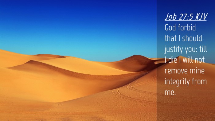 Picture 04 - Job 27:5 KJV Desktop Wallpaper - God forbid that I should justify you: till I die - Desktop Bible Verse Wallpaper