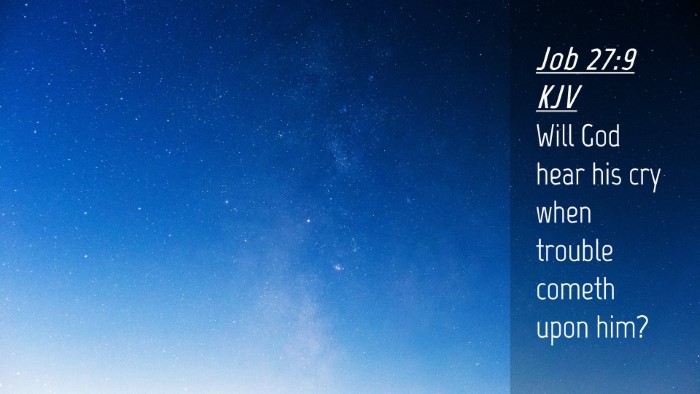 Picture 04 - Job 27:9 KJV Desktop Wallpaper - Will God hear his cry when trouble cometh upon - Desktop Bible Verse Wallpaper