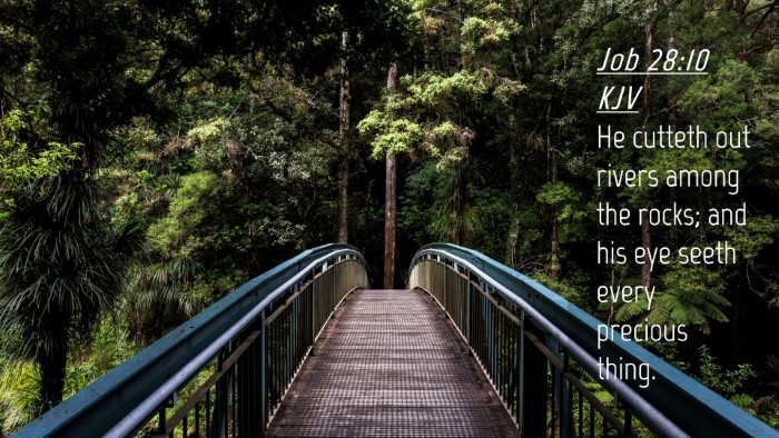 Picture 04 - Job 28:10 KJV Desktop Wallpaper - He cutteth out rivers among the rocks; and his - Desktop Bible Verse Wallpaper