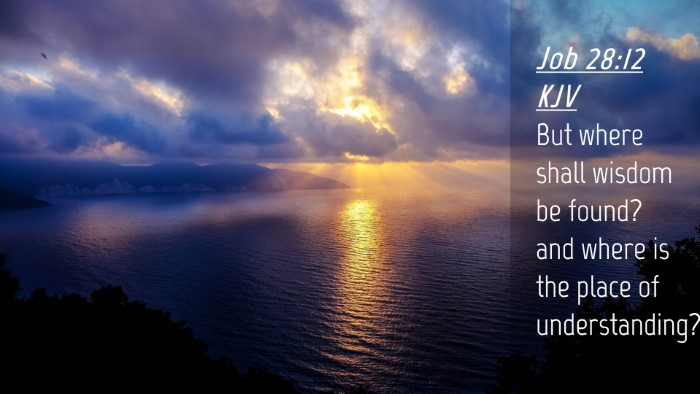 Picture 04 - Job 28:12 KJV Desktop Wallpaper - But where shall wisdom be found? and where is the - Desktop Bible Verse Wallpaper