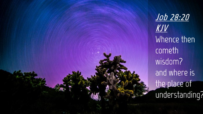 Picture 04 - Job 28:20 KJV Desktop Wallpaper - Whence then cometh wisdom? and where is the place - Desktop Bible Verse Wallpaper