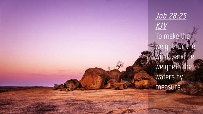 Picture 04 - Job 28:25 KJV Desktop Wallpaper - To make the weight for the winds; and he weigheth - Desktop Bible Verse Wallpaper