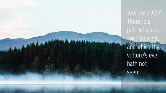 Picture 04 - Job 28:7 KJV Desktop Wallpaper - There is a path which no fowl knoweth, and which - Desktop Bible Verse Wallpaper