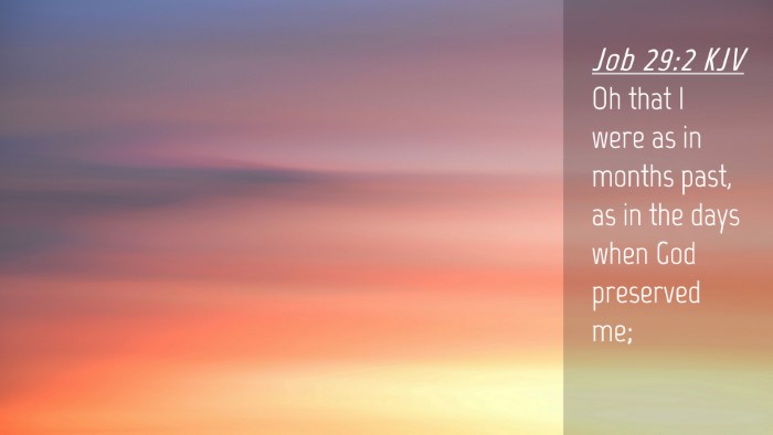Picture 04 - Job 29:2 KJV Desktop Wallpaper - Oh that I were as in months past, as in the days - Desktop Bible Verse Wallpaper
