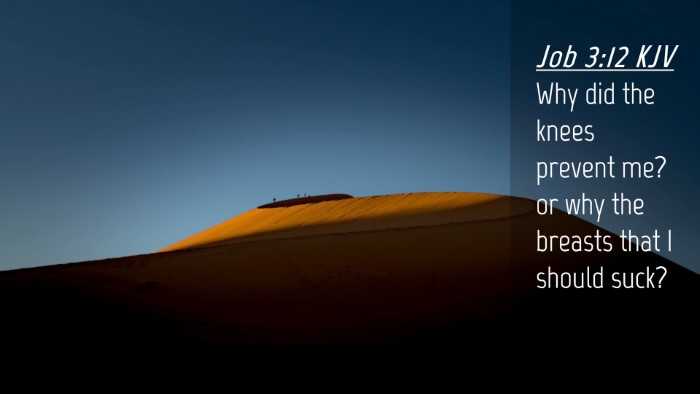 Picture 04 - Job 3:12 KJV Desktop Wallpaper - Why did the knees prevent me? or why the breasts - Desktop Bible Verse Wallpaper