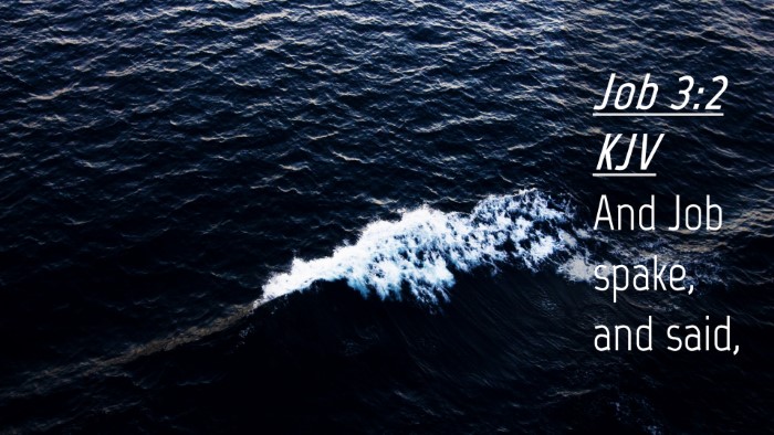 Picture 04 - Job 3:2 KJV Desktop Wallpaper - And Job spake, and - Desktop Bible Verse Wallpaper