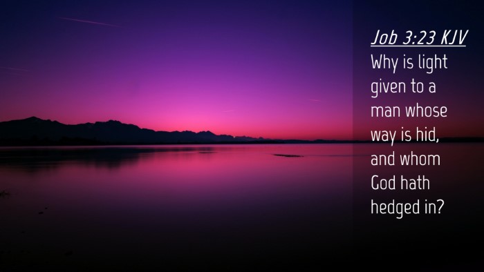 Picture 04 - Job 3:23 KJV Desktop Wallpaper - Why is light given to a man whose way is hid, and - Desktop Bible Verse Wallpaper