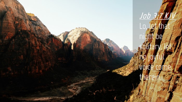 Picture 04 - Job 3:7 KJV Desktop Wallpaper - Lo, let that night be solitary, let no joyful - Desktop Bible Verse Wallpaper
