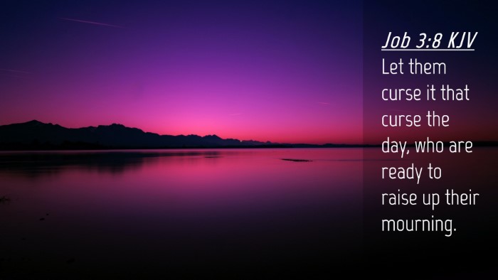 Picture 04 - Job 3:8 KJV Desktop Wallpaper - Let them curse it that curse the day, who are - Desktop Bible Verse Wallpaper
