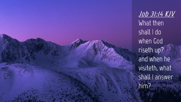 Picture 04 - Job 31:14 KJV Desktop Wallpaper - What then shall I do when God riseth up? and when - Desktop Bible Verse Wallpaper