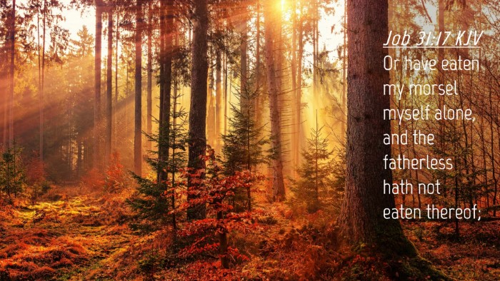 Picture 04 - Job 31:17 KJV Desktop Wallpaper - Or have eaten my morsel myself alone, and the - Desktop Bible Verse Wallpaper