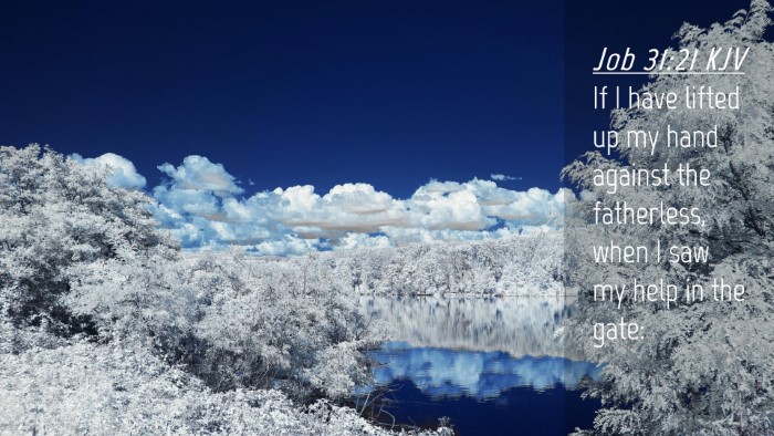 Picture 04 - Job 31:21 KJV Desktop Wallpaper - If I have lifted up my hand against the - Desktop Bible Verse Wallpaper