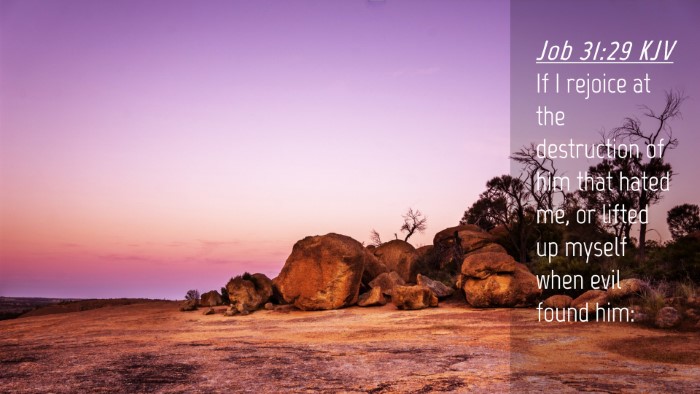 Picture 04 - Job 31:29 KJV Desktop Wallpaper - If I rejoice at the destruction of him that hated - Desktop Bible Verse Wallpaper