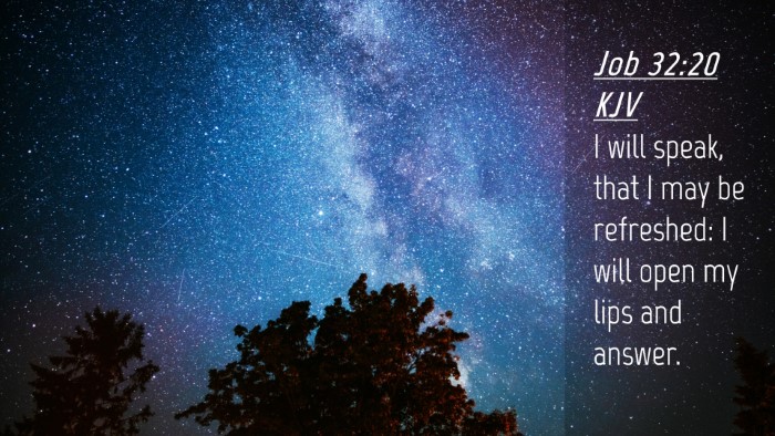 Picture 04 - Job 32:20 KJV Desktop Wallpaper - I will speak, that I may be refreshed: I will - Desktop Bible Verse Wallpaper