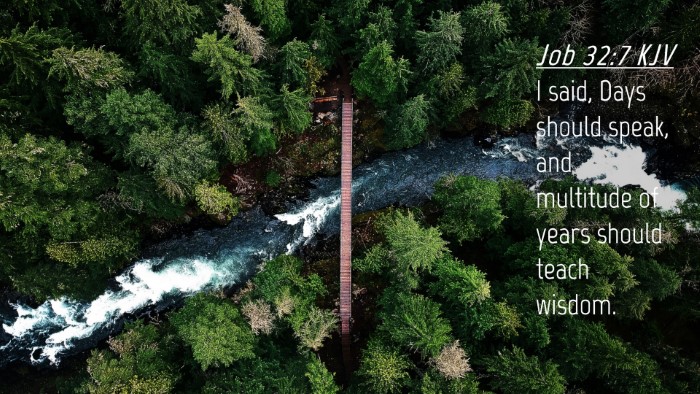 Picture 04 - Job 32:7 KJV Desktop Wallpaper - I said, Days should speak, and multitude of years - Desktop Bible Verse Wallpaper