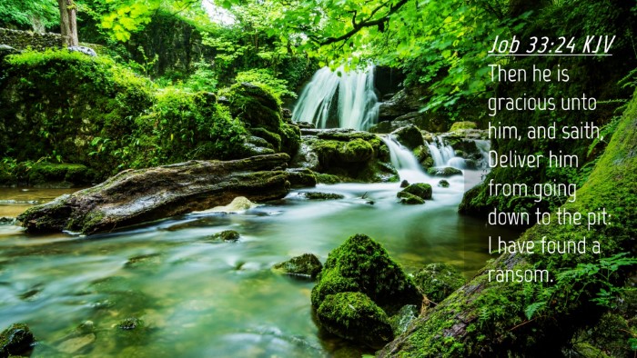 Picture 04 - Job 33:24 KJV Desktop Wallpaper - Then he is gracious unto him, and saith, Deliver - Desktop Bible Verse Wallpaper