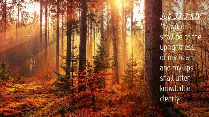 Picture 04 - Job 33:3 KJV Desktop Wallpaper - My words shall be of the uprightness of my heart: - Desktop Bible Verse Wallpaper