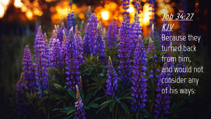 Picture 04 - Job 34:27 KJV Desktop Wallpaper - Because they turned back from him, and would not - Desktop Bible Verse Wallpaper