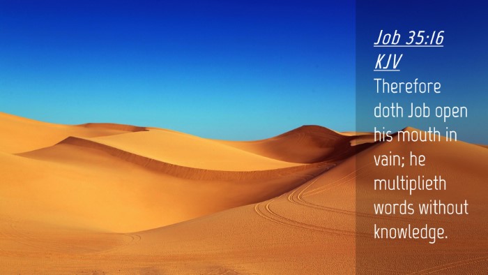 Picture 04 - Job 35:16 KJV Desktop Wallpaper - Therefore doth Job open his mouth in vain; he - Desktop Bible Verse Wallpaper