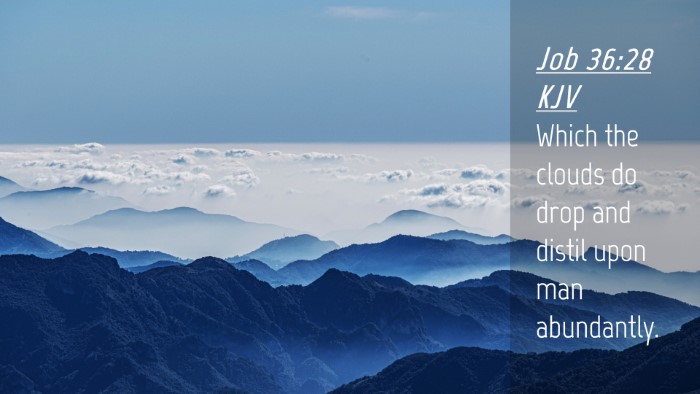 Picture 04 - Job 36:28 KJV Desktop Wallpaper - Which the clouds do drop and distil upon man - Desktop Bible Verse Wallpaper