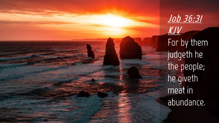 Picture 04 - Job 36:31 KJV Desktop Wallpaper - For by them judgeth he the people; he giveth meat - Desktop Bible Verse Wallpaper