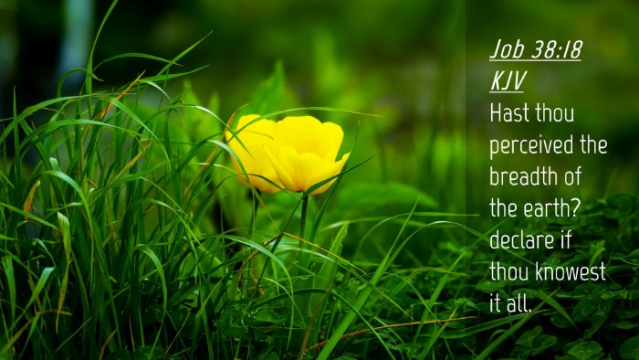 Picture 04 - Job 38:18 KJV Desktop Wallpaper - Hast thou perceived the breadth of the earth? - Desktop Bible Verse Wallpaper