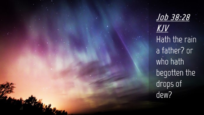 Picture 04 - Job 38:28 KJV Desktop Wallpaper - Hath the rain a father? or who hath begotten the - Desktop Bible Verse Wallpaper