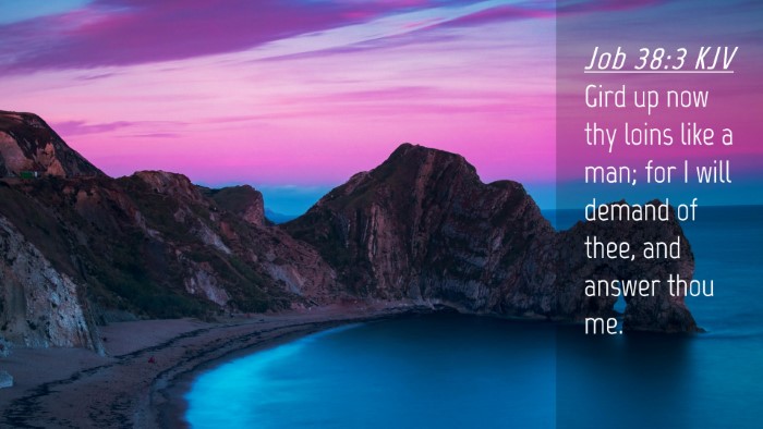 Picture 04 - Job 38:3 KJV Desktop Wallpaper - Gird up now thy loins like a man; for I will - Desktop Bible Verse Wallpaper