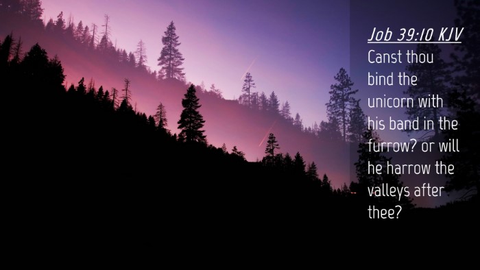 Picture 04 - Job 39:10 KJV Desktop Wallpaper - Canst thou bind the unicorn with his band in the - Desktop Bible Verse Wallpaper