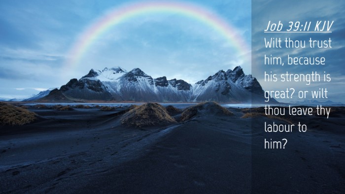 Picture 04 - Job 39:11 KJV Desktop Wallpaper - Wilt thou trust him, because his strength is - Desktop Bible Verse Wallpaper