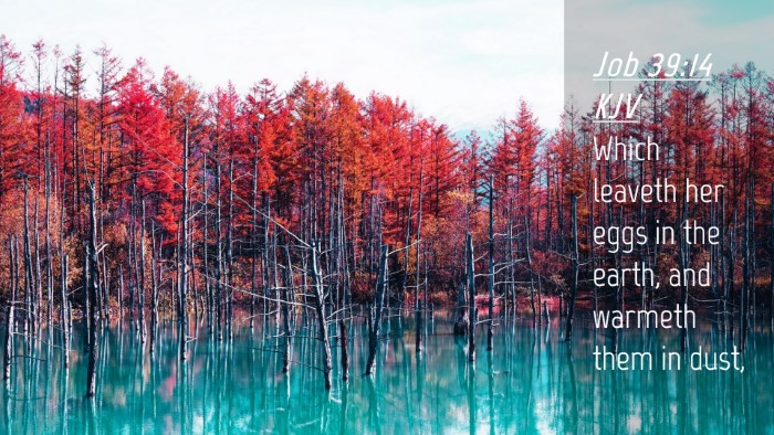 Picture 04 - Job 39:14 KJV Desktop Wallpaper - Which leaveth her eggs in the earth, and warmeth - Desktop Bible Verse Wallpaper