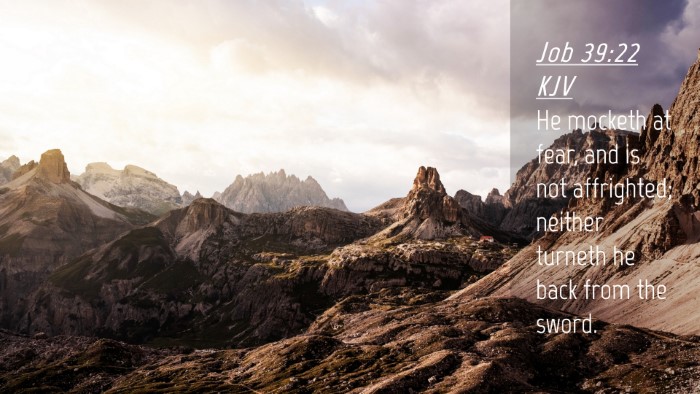 Picture 04 - Job 39:22 KJV Desktop Wallpaper - He mocketh at fear, and is not affrighted; - Desktop Bible Verse Wallpaper